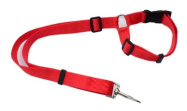 Pet leash Car seat belt 2 in 1 Car dual dog with rear seat leash